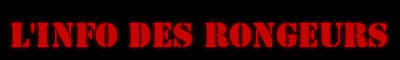 L'Info des Rongeurs : le JT pr�sent� et r�dactionn� par les Mulots... Plus d'autres conneries sorties de ma t�te !