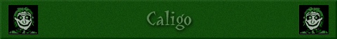 Les Sagas MP3 et les dessins de Caligo.